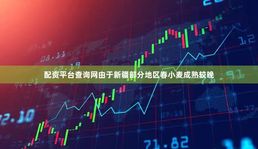 配资平台查询网由于新疆部分地区春小麦成熟较晚