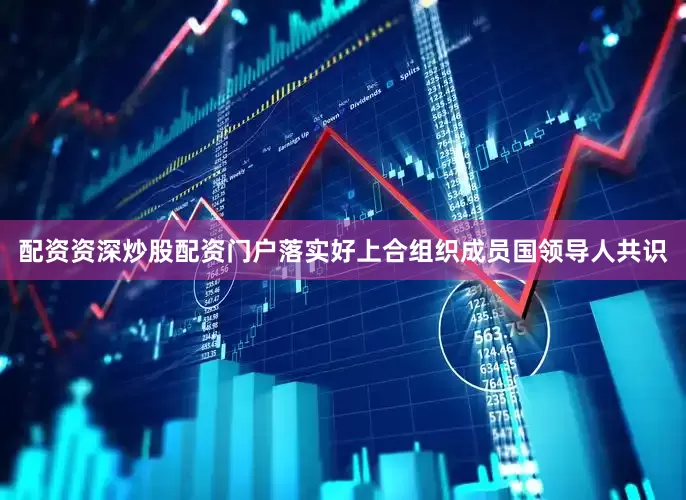 配资资深炒股配资门户落实好上合组织成员国领导人共识