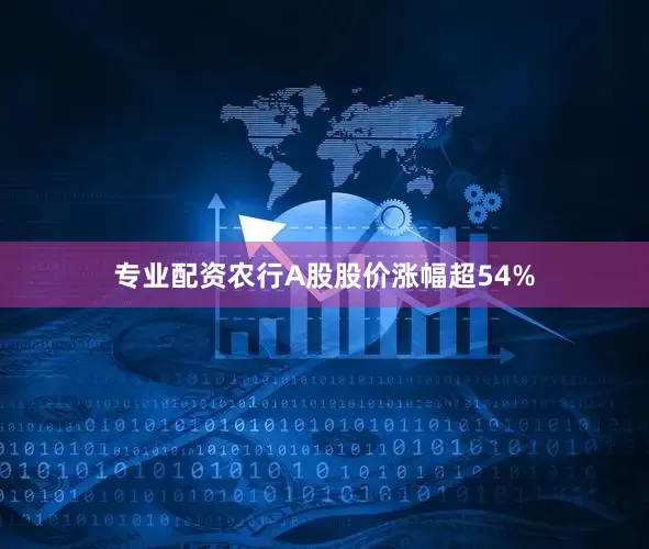 专业配资农行A股股价涨幅超54%